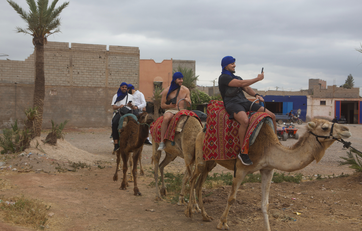 Camel Ride Marrakech